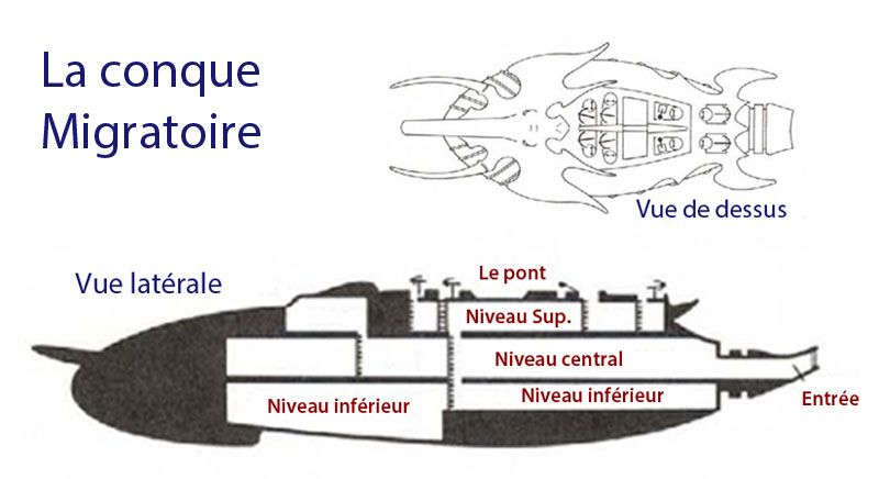 Lire la suite à propos de l’article Schémas de la conque Migratoire