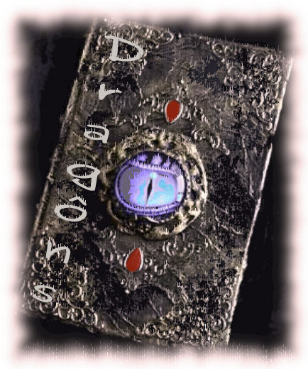 You are currently viewing II.3. – « Livre de la Citadelle des Dragôns »